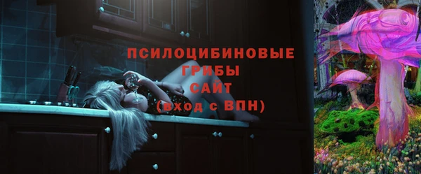 герыч Новозыбков