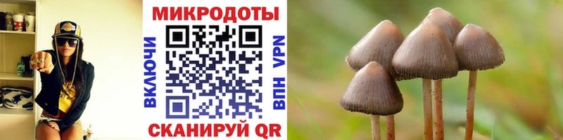 кракен как войти  Туран  Псилоцибиновые грибы GOLDEN TEACHER 